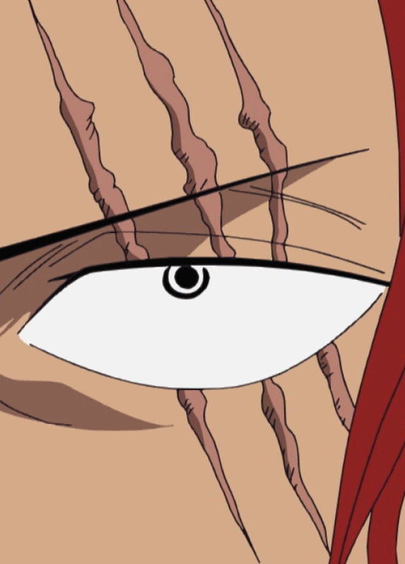 shanks one piece age shanks one piece age